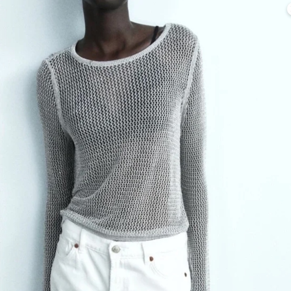 Zara metallic crew neck sliver mesh knit Women's Sweater Size M